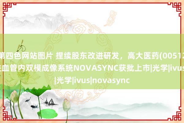 第四色网站图片 捏续股东改进研发，高大医药(00512)国产化改进血管内双模成像系统NOVASYNC获批上市|光学|ivus|novasync