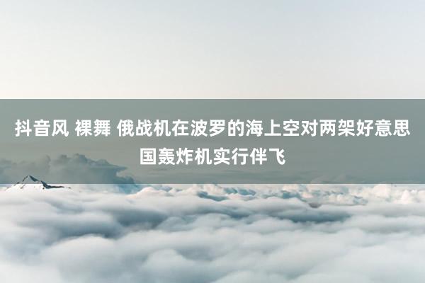 抖音风 裸舞 俄战机在波罗的海上空对两架好意思国轰炸机实行伴飞