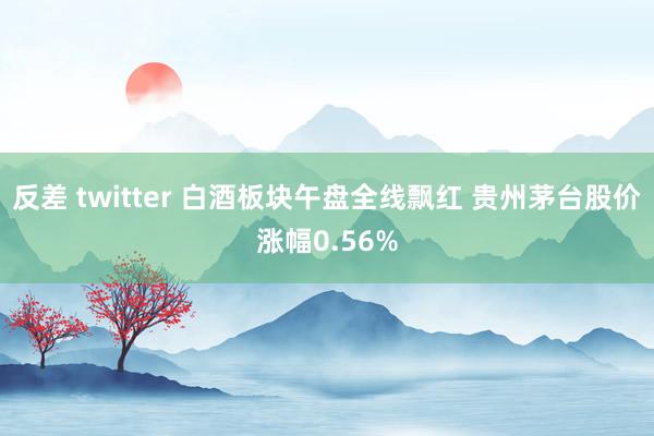 反差 twitter 白酒板块午盘全线飘红 贵州茅台股价涨幅0.56%