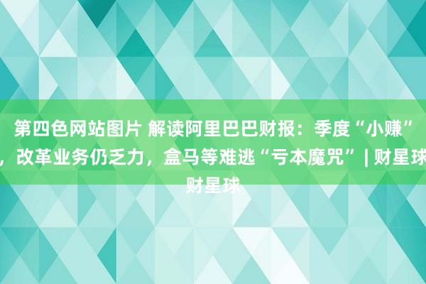 第四色网站图片 解读阿里巴巴财报：季度“小赚”，改革业务仍乏力，盒马等难逃“亏本魔咒” | 财星球