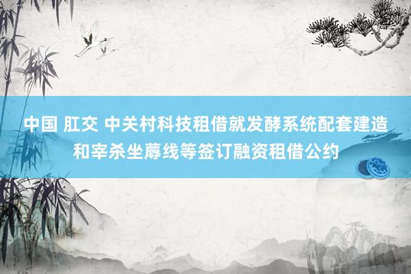 中国 肛交 中关村科技租借就发酵系统配套建造和宰杀坐蓐线等签订融资租借公约