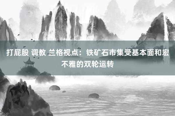 打屁股 调教 兰格视点：铁矿石市集受基本面和宏不雅的双轮运转