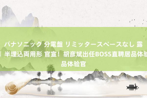 パナソニック 分電盤 リミッタースペースなし 露出・半埋込両用形 官宣！胡彦斌出任BOSS直聘居品体验官